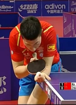 2分的逐步 2分的逐步