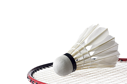 案例分析 案例分析